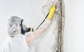 Best Dehumidification Services  in Angleton, TX